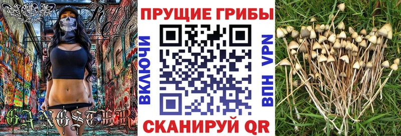 кракен ТОР  Томск  Псилоцибиновые грибы ЛСД 